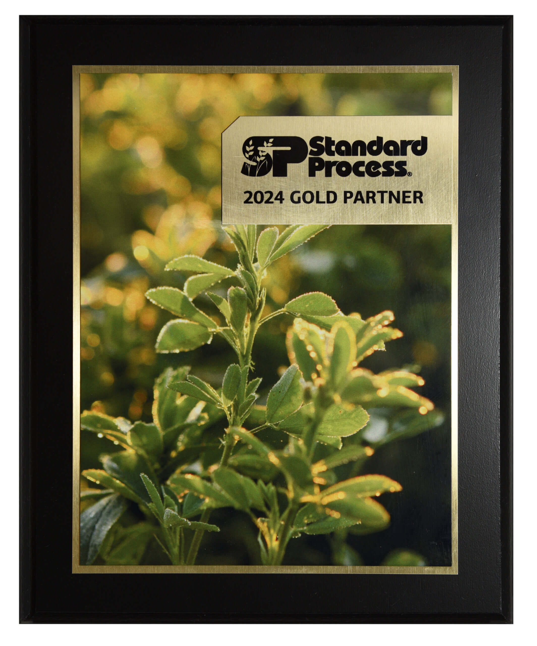 Johnson Chiropractic 2024 Standard Process Award