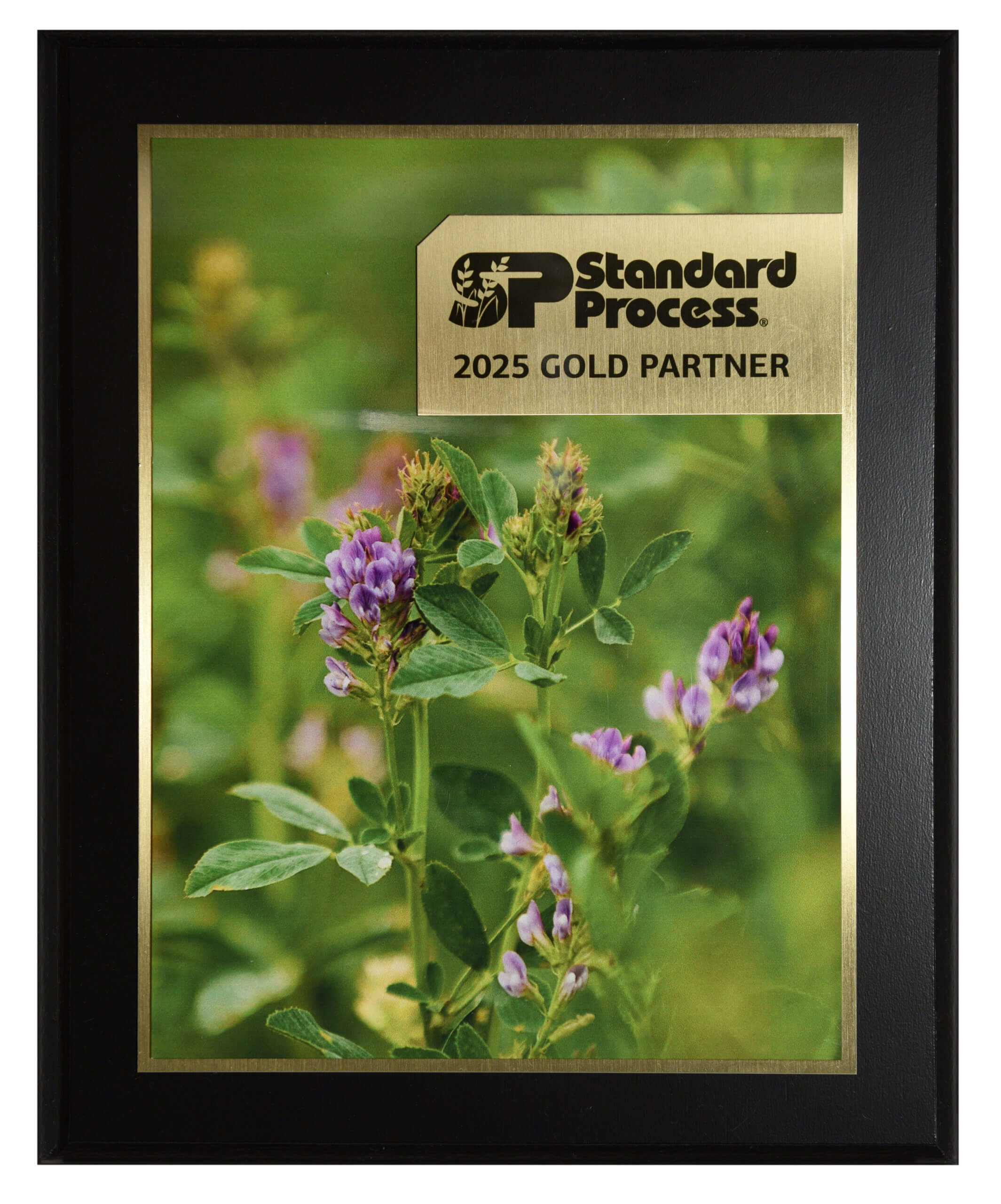 Johnson Chiropractic 2025 Standard Process Award